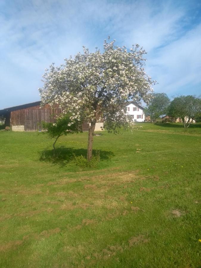 La Maison De Pescate Souprosse Kültér fotó